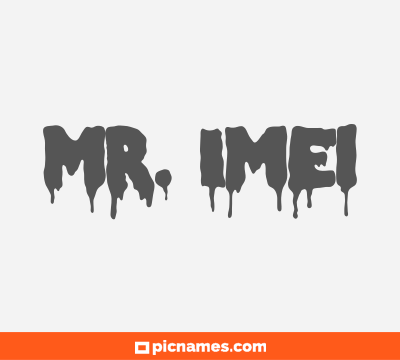 Mr. Imei